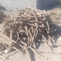 برش با خودمان|خدمات باغبانی و درختکاری|سندرک, |دیوار