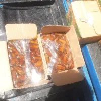 خرما زرد شاهانی