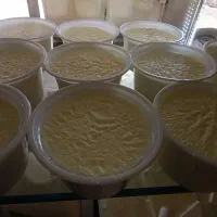ماست سنتی