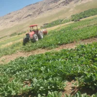 نیازمند راننده تراکتور با سابقه