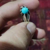 فیروزه تمام مغز  سهره