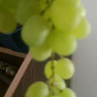 خوراکی وتبدیلی