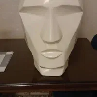 گلدان رخ ادم کاکتوس درواریته های مختلف