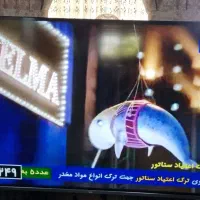 تلویزیون جی پلاس