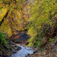 تور یک روزه مایون