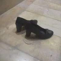 کفش مجلسی