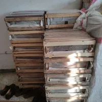 عسل سرابی|عمدهفروشی|قم, صفائیه|دیوار