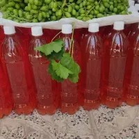 آبغوره و آبلیمو