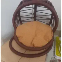 تاب ریلکسی و لباس گربه و سگ