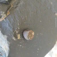 شهاب سنگ وزن بالا