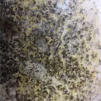 سبزی قورمه سرخ شده