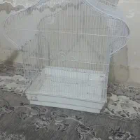 قفس