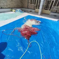 تور ماهی ۶لیخ صبور و چشمه ۹و ۱۱