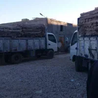 کارخانه قالیشویی مددی