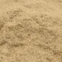 کاه گندم دیم