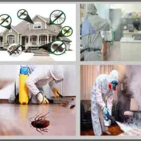 شرکت آدرین سمپاشی حشرات و حیوان موذی
