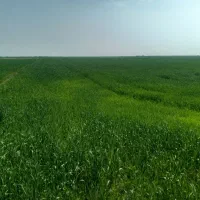 زمین فروشی