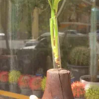 گلجای چوبی