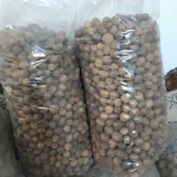 گردوی ایرانی پرچرب