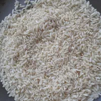 برنج|خوردنی و آشامیدنی|سیلاخور, |دیوار