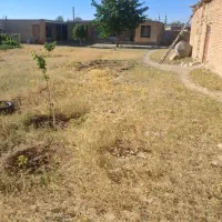زمین کشاورزی و مسکونی