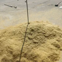 کاه نژی