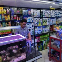 آکواریوم فروشی مهرسام ،،اب شور ،اب شیرین