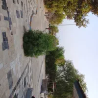 استخدام نگهبان
