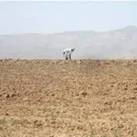 ۶ هکتار زمین دیم روستای سنگلی