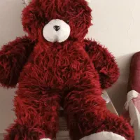 خرس ولنتاین