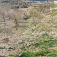 باغ واقع در نورآباد دره غول