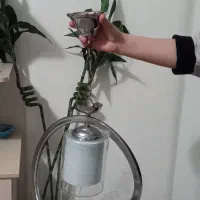 لوستر تک شاخه