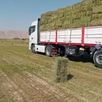 ۱۹ پرس یونجه