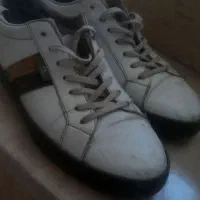 کتانی
