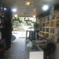 لوکس خودرو