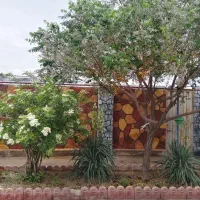 طرح سنگ|تابلو، نقاشی، عکس|نیشابور, شریعتی|دیوار