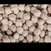 نخودمحلی220
