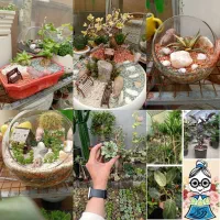 بار جدید گلسرای بی بی گل رسید