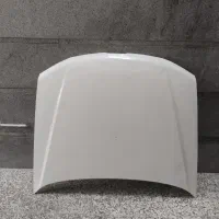 کاپوت پژو پارس چراغ