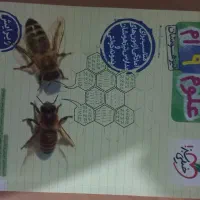 کتاب علوم نهم