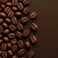 پخش عمده خرده دانه قهوه عربیکا و روبستا رست شده
