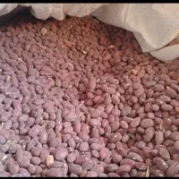 لوبیاقرمز