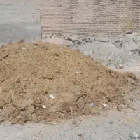 کودگاو|گل و گیاه طبیعی|جیرفت, |دیوار