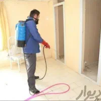 سمپاشی تخصصی انواع سوسک ساس موریانه موش 100%تضمینی