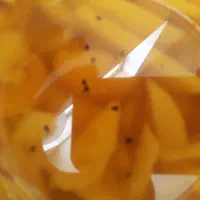 ترشی انبه