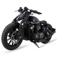 بندا ناپلئون250cc