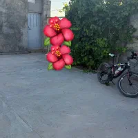 خدمات منزل