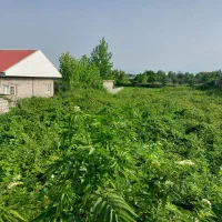 1500-متر-زمین-داخل-بافت-با-کاربری-کشاورزی