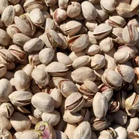 به یک فروشنده ساده در مغازه نیازمندیم