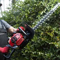 شمشاد زن بنزینی رونیکس